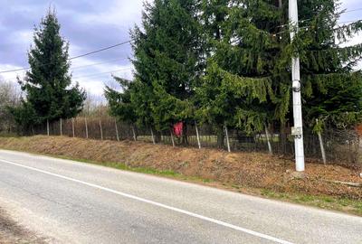 Teren de vanzare intravilan 1351 mp, gaz, apa, Sibiel-Vale - 1
