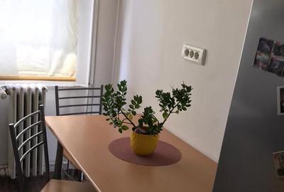Apartament 2 Camere,Dristor,Park Lake,bl.1980,Amenajat,mobilat,utilat,complet - 7