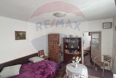 Casă / Vilă cu 4 camere de vânzare în zona Gheorghe Doja - 10
