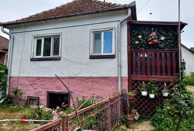 Casă cu farmec rural și confort modern–Sat Nojag, jud. Hunedoara 19 km de Deva - 3