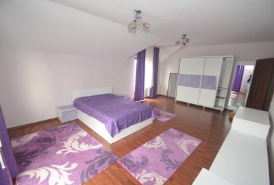 Casa individuala de inchiriat - 12