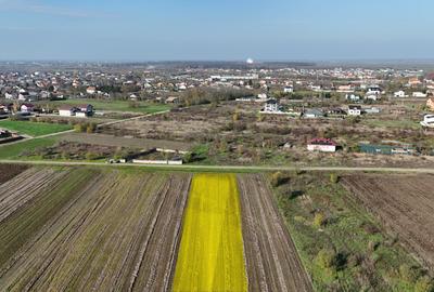 Teren 10.000 mp, parcelabil, ideal ansamblu case P+1 | Gulia - Dambovita - 1