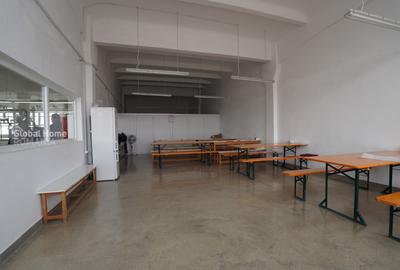 Platformă comercial–industrială cu venit activ || Macin - Tulcea - 18