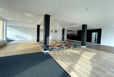 Spatiu Comercia/ Showroom 200mp util+curte720mp/GRADISTE - 4