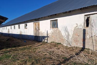 Ferma complet echipata de vanzare – zona Agnita, judetul Sibiu - 8