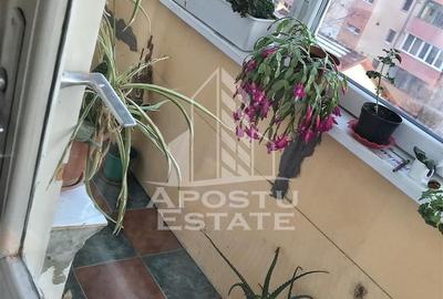 Apartament 3 camere,de vanzare, zona Girocului, Timisoara - 10