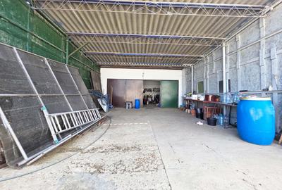 Ferma si casa de vanzare - teren intravilan, la 20min de Constanta! - 18