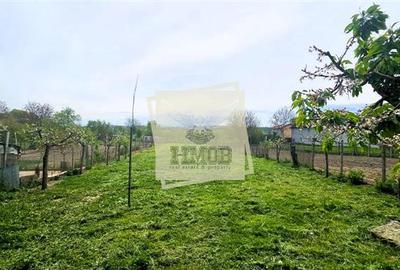 Casa individuala 4 camere 150mpu | anexe | gradina | Turnisor - 7