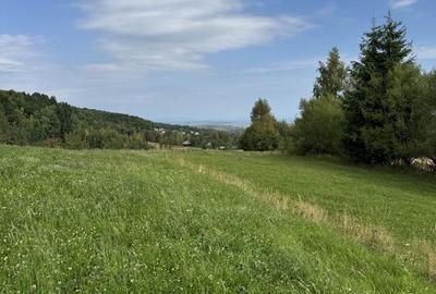 Teren de vanzare Rasca - 1