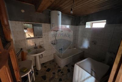 Gospodarie de vanzare in Giulvaz, judetul Timis - 16