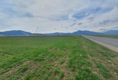 Teren Industrial Brasov - Tarlungeni deschidere la DN 103B - 1