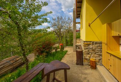 Provita de Sus, Prahova, Casa renovata, Comision 0 % - 26