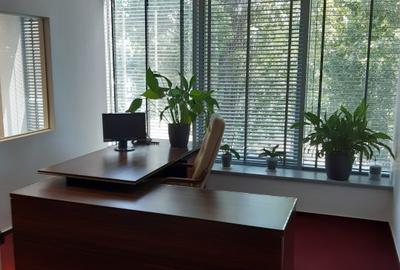 Birouri, Showroom, Sala de prezentari, Depozit , functiuni multiple - 12
