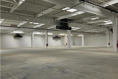 Spatiu Industrial - 3000 mp - Logistica - Productie - Depozitare - Distributie - 7