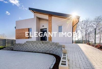 Vila Tancabesti-Snagov - 1