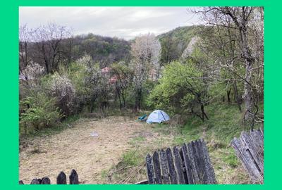 DOMENIU EXCLUSIVIST Băile Govora: 2500 mp cu Helesteu, Pârâu, Pădure, Utilități - 1