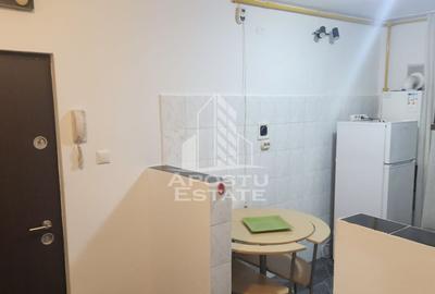 Apartament cu 2 camere de vanzare in zona Girocului, Timisoara - 4