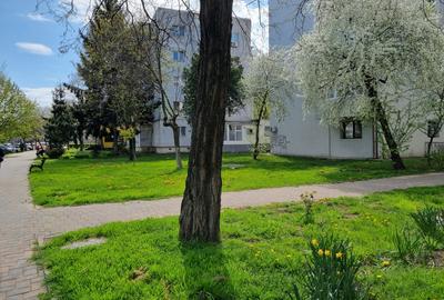 Apartament 2 camere decomandate, spațios- Centru, Petru Rareș- 9 Mai - 10