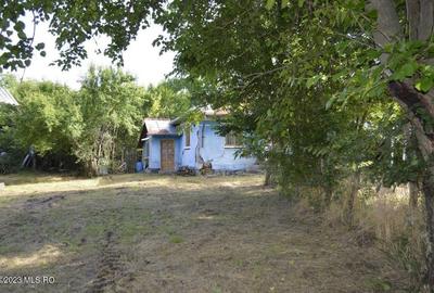 Suseni - Teren intravilan cu casa batraneasca, plan, suprafata 4700 mp! - 12