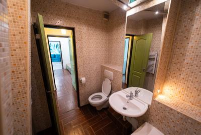 Calea Calarasilor Hyperion, stradal, mobilat, complet renovat, BOXA, AC, STB - 7
