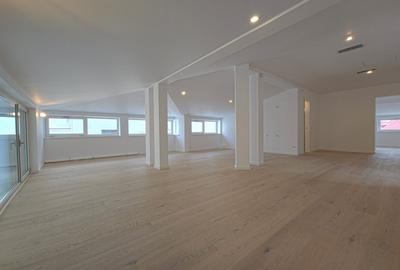 Vila recent renovata Dorobanti - 12