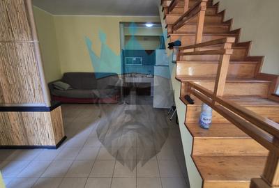 Duplex cu 2 camere în Valea Ialomiței