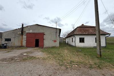 HALE INDUSTRIALE | CLADIRE BIROURI | TEREN 7000 MP | GHEGHIE BIHOR - 3