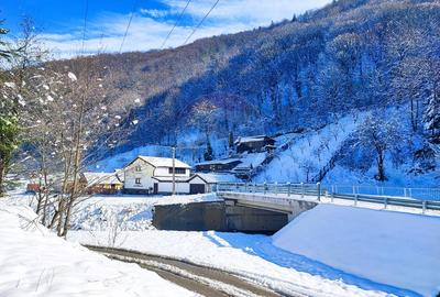 Teren intravilan în Tilișca, zonă montană superba! - 2