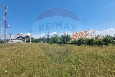 Teren intravilan 11.500 mp – Strada Cismari Vălenii de Munte - 3