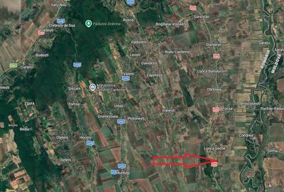 50 Ha Teren Compact – Lunca Banului (Husi) – Irigabil & Potențial Energetic - 5