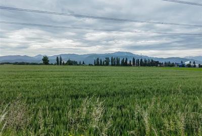 Teren Construcții intravilan de 69700 mp, în Central