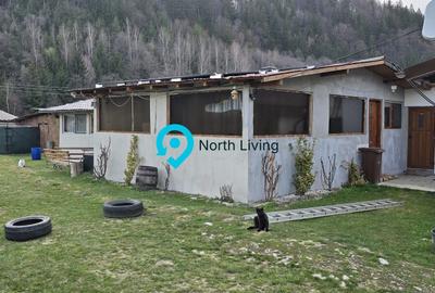 Casa de vacanta | Investitie | zona montana - padure | Arges | Leresti - 37