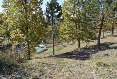 Topoloveni - Conacul Ion Mihalache, Domeniu pe 5 Hectare! - 54