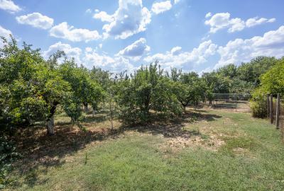 Locație rară: casă între pădure și apă, perfectă pentru un proiect de suflet - 34