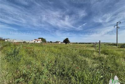 Teren intravilan Techirghiol - 4