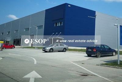 Spațiu industrial, 2500 mp în Mogoșoaia
