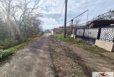 Casa de vanzare in Unirea 725 mp teren - 10