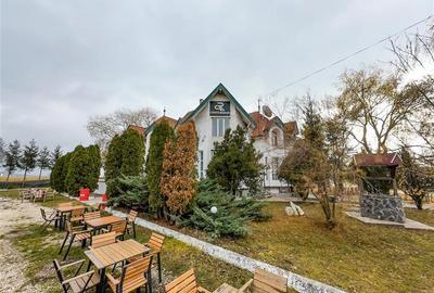 Potential imobiliar remarcabil, recomandat domeniului Petrolier si HoReCa, DN11, - 12