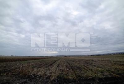Teren agricol extravilan de 6020 mp, în Exterior Sud