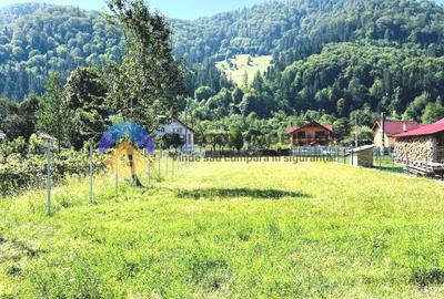 TEREN intravilan 3600 mp  PÂNGǍRAȚI - PRELUCA - 3