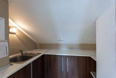 Aviatiei | Smaranda Braescu | Vila reprezentativa de inchiriat - 48