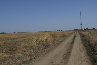 Domnesti-Teghes, teren 9.817 mp strada Pinului - 5
