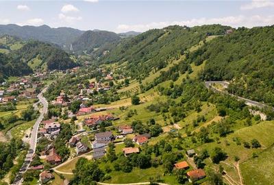 FILM!View superb catre munti,teren pretabil constructie Hotel,4.400 mp, Moieciu - 10