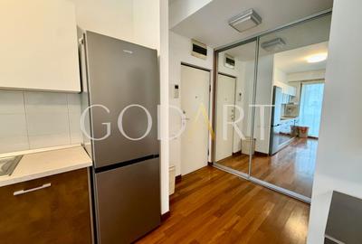 Apartament 2 camere Herastrau | Parcare inclusa | Mobilat complet - 9