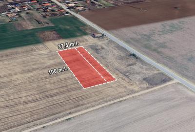 Teren Branesti deschidere la drum asfaltat ideal mica dezvoltare imobiliara. - 2