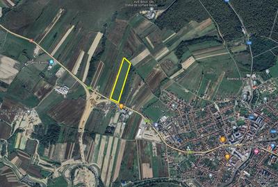 Teren extravilan - construcții, suprafață 49.933 mp, drumul E79, Beiuș - 2