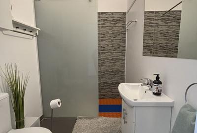 Apartament cu o camera în clădire istorică ,zona Maria - 6