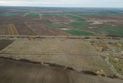 Teren 22.500 mp – Pecica, jud. Arad - 8