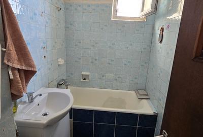 Drumul Taberei parc Moghioros Auchan Valea Rosie apropiere linia 41 - 8