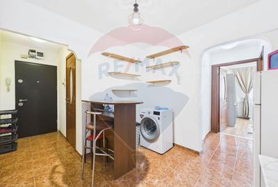 Vanzare apartament 2 camere - Zona Pasajul Doamna Ghica - Tei - 12